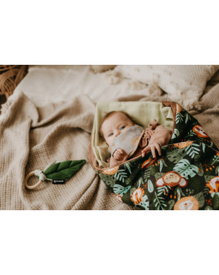 T-TOMI Hryzátko Forest